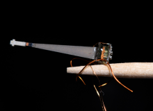 An extreme close up of a tiny robotic bee perched on the end of a toothpick.